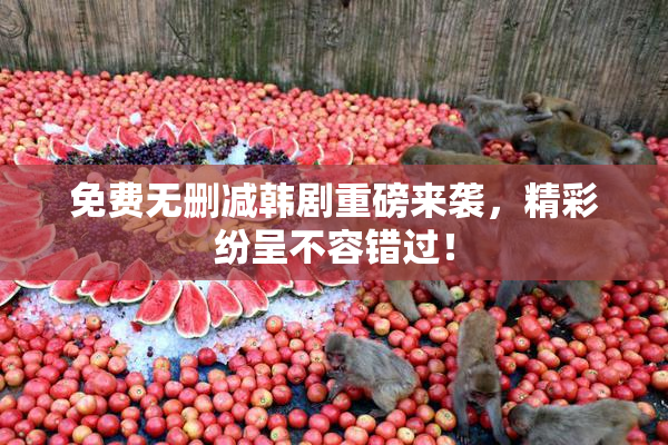 免费无删减韩剧重磅来袭，精彩纷呈不容错过！