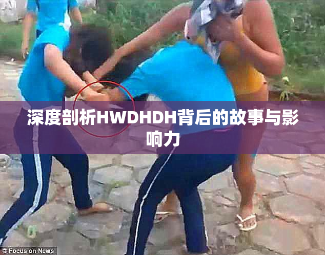 深度剖析HWDHDH背后的故事与影响力