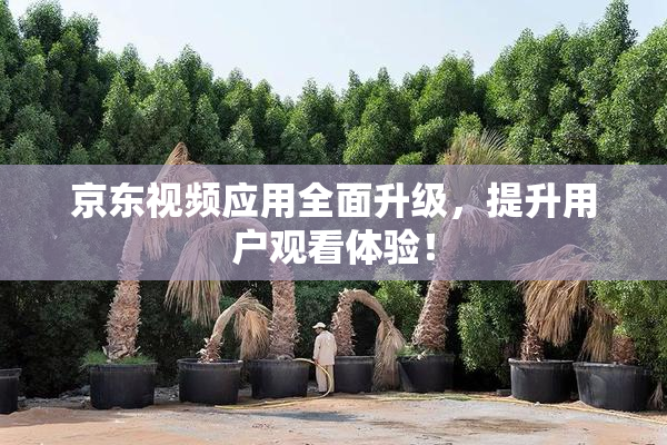 京东视频应用全面升级，提升用户观看体验！
