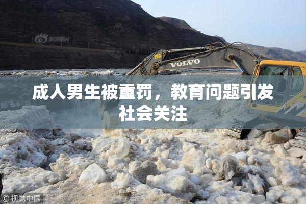 成人男生被重罚，教育问题引发社会关注