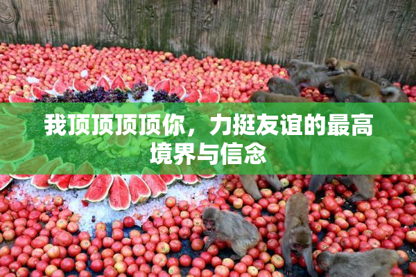 我顶顶顶顶你，力挺友谊的最高境界与信念
