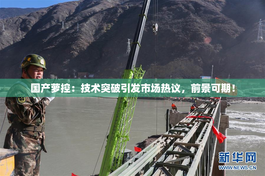 国产萝控：技术突破引发市场热议，前景可期！