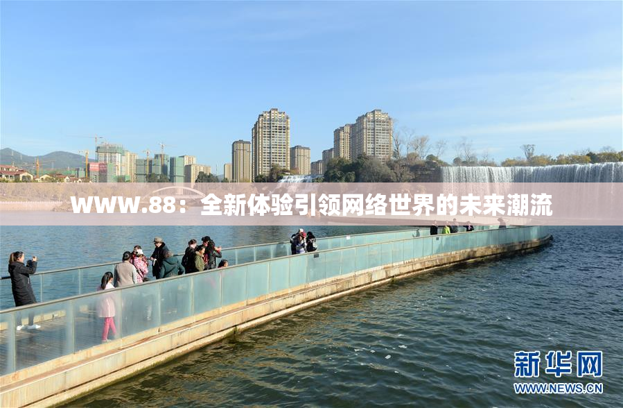WWW.88：全新体验引领网络世界的未来潮流