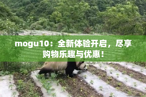 mogu10：全新体验开启，尽享购物乐趣与优惠！