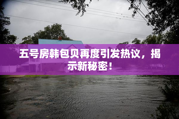 五号房韩包贝再度引发热议，揭示新秘密！