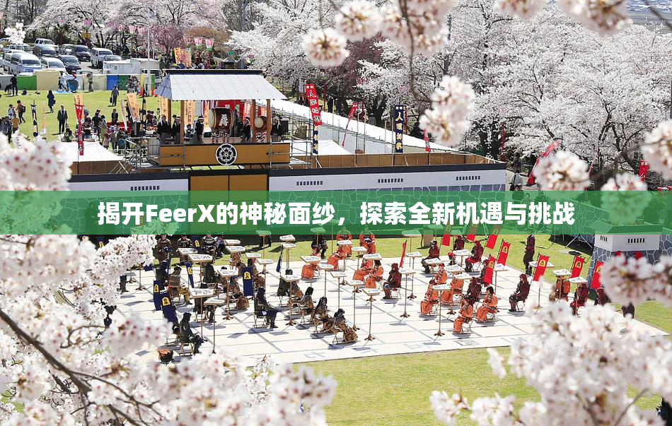 揭开FeerX的神秘面纱，探索全新机遇与挑战