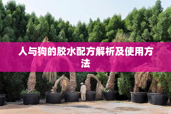 人与狗的胶水配方解析及使用方法