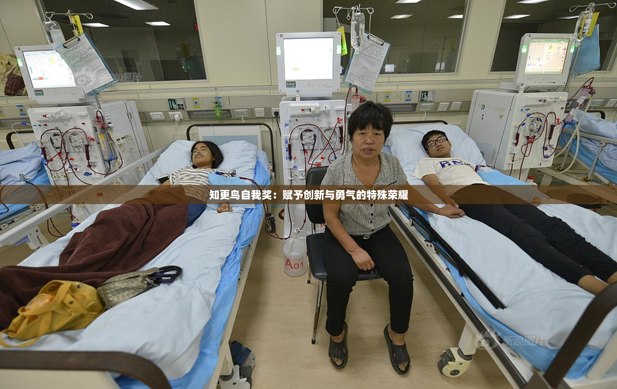 知更鸟自我奖：赋予创新与勇气的特殊荣耀