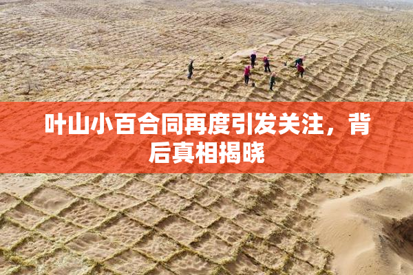 叶山小百合同再度引发关注，背后真相揭晓