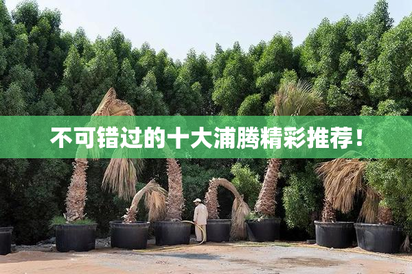 不可错过的十大浦腾精彩推荐！