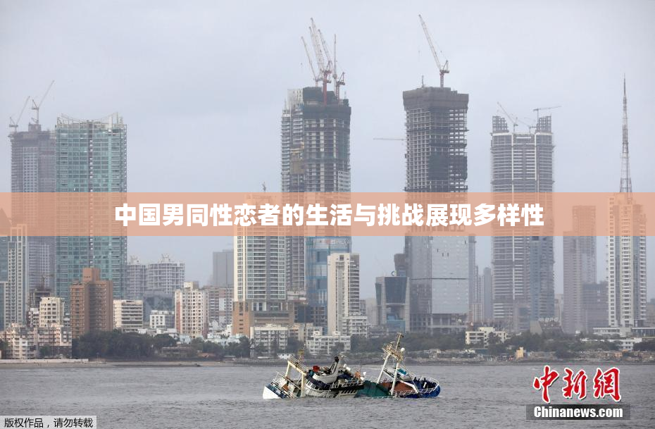 中国男同性恋者的生活与挑战展现多样性