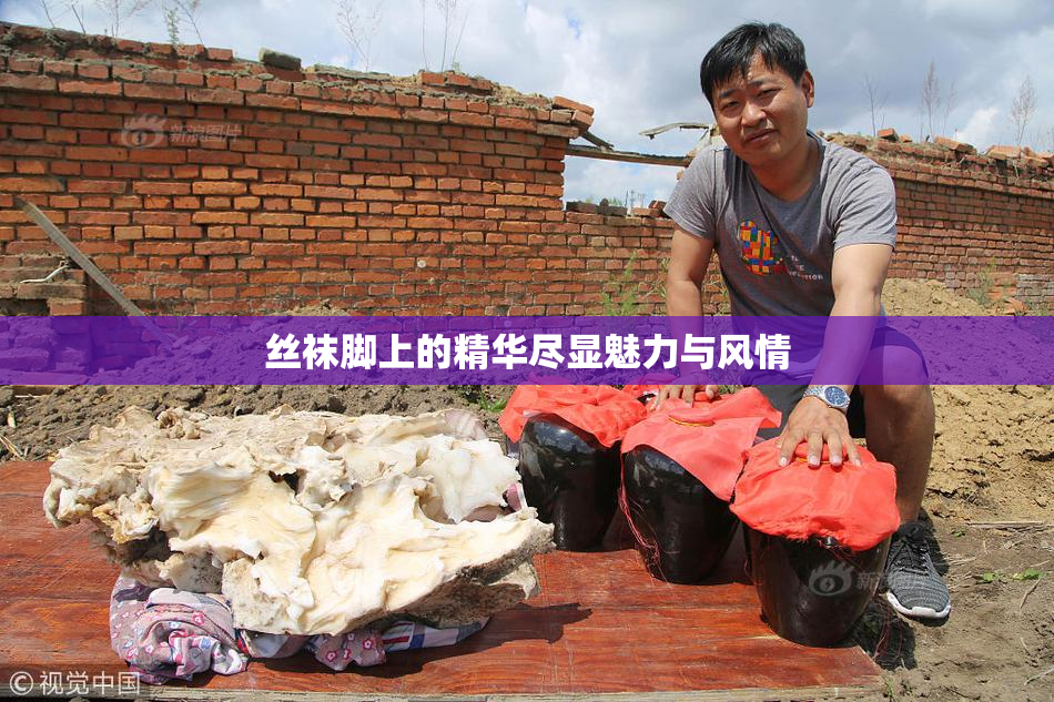 丝袜脚上的精华尽显魅力与风情