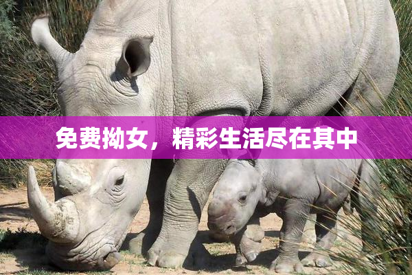免费拗女，精彩生活尽在其中