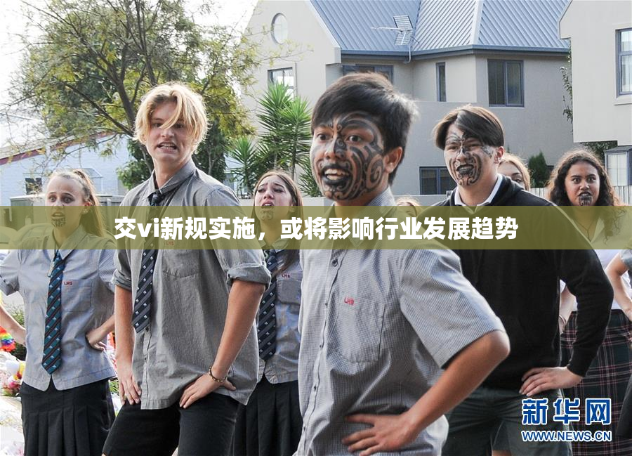 交vi新规实施，或将影响行业发展趋势