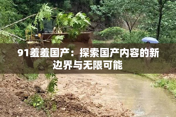 91羞羞国产：探索国产内容的新边界与无限可能