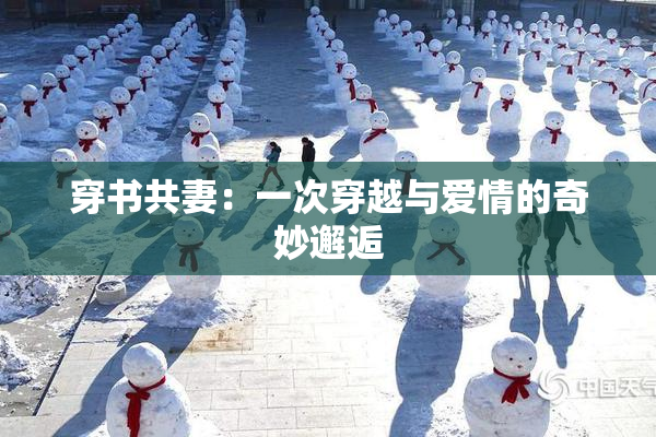 穿书共妻：一次穿越与爱情的奇妙邂逅