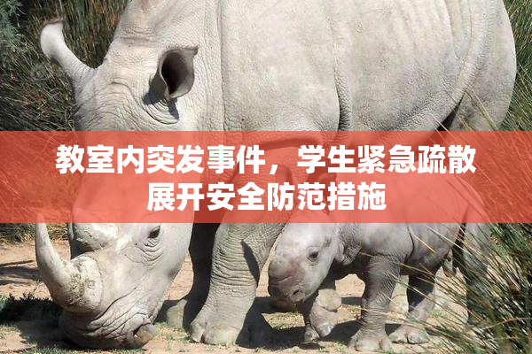 教室内突发事件，学生紧急疏散展开安全防范措施