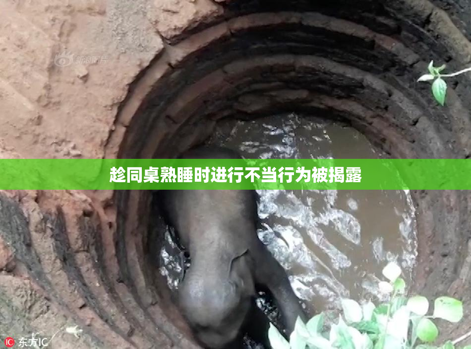 趁同桌熟睡时进行不当行为被揭露