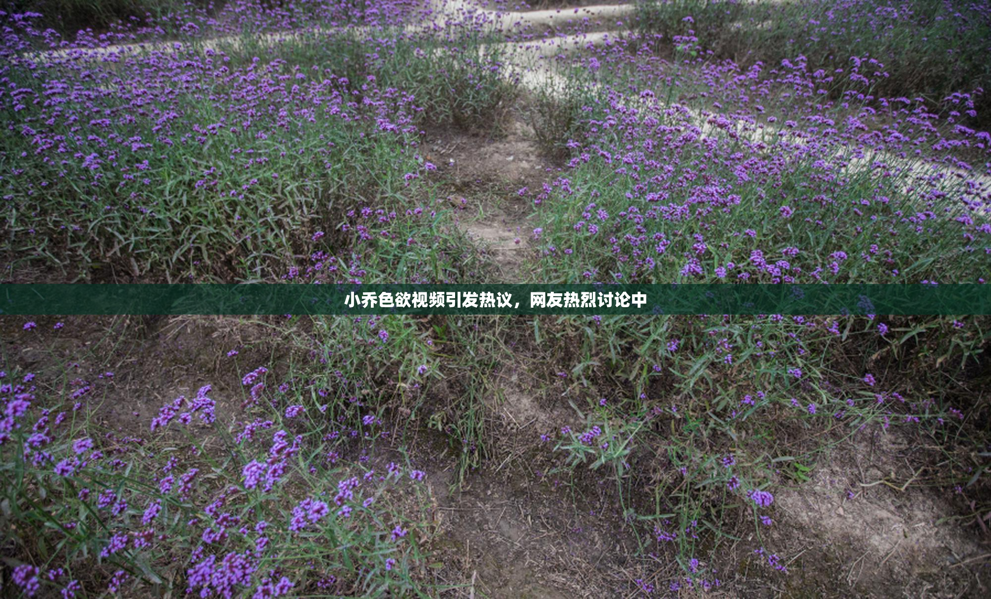 小乔色欲视频引发热议，网友热烈讨论中
