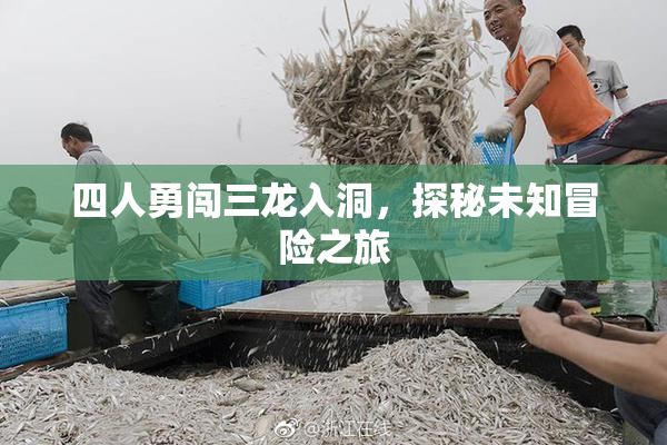 四人勇闯三龙入洞，探秘未知冒险之旅