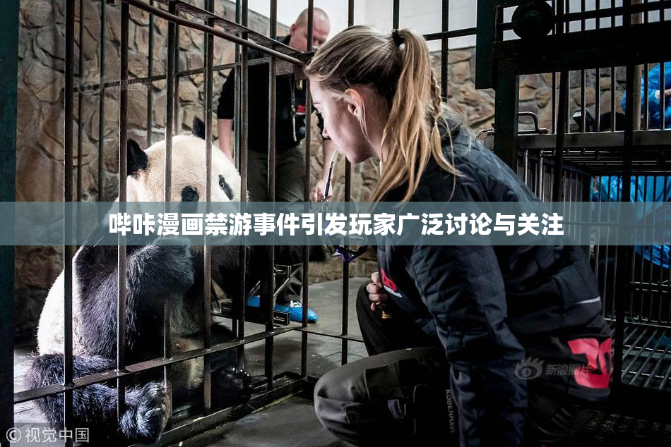 哔咔漫画禁游事件引发玩家广泛讨论与关注