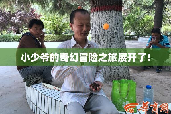 小少爷的奇幻冒险之旅展开了！