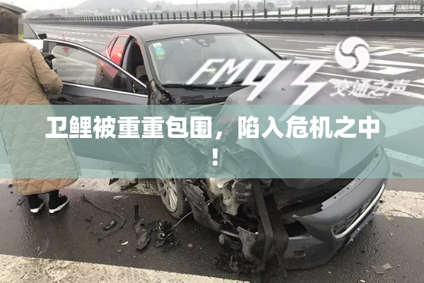 卫鲤被重重包围，陷入危机之中！