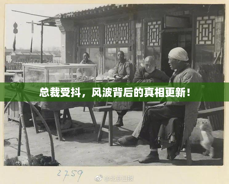 总裁受抖，风波背后的真相更新！
