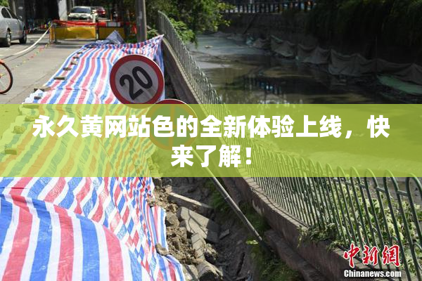 永久黄网站色的全新体验上线，快来了解！