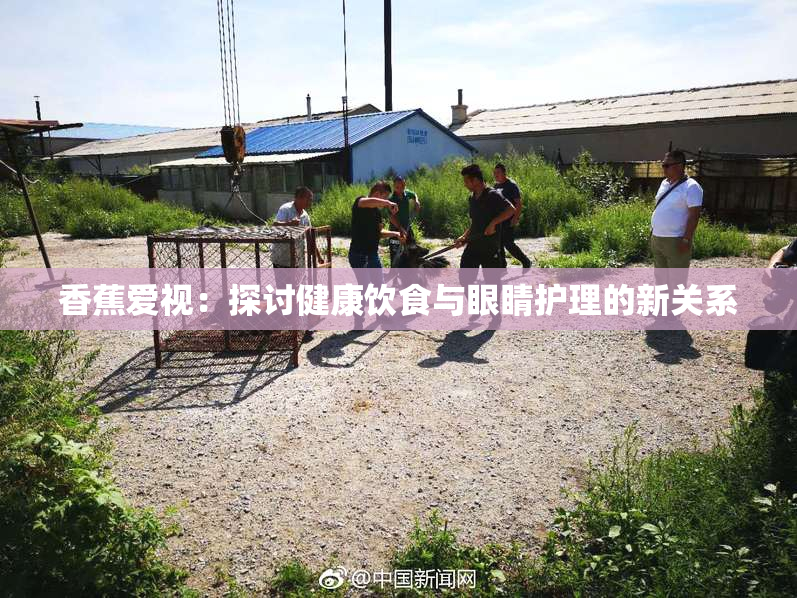 香蕉爱视：探讨健康饮食与眼睛护理的新关系