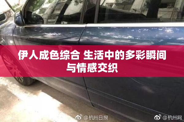 伊人成色综合 生活中的多彩瞬间与情感交织