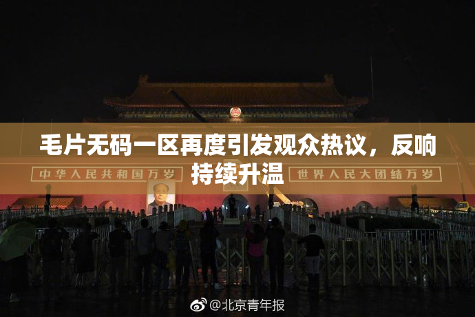 毛片无码一区再度引发观众热议，反响持续升温