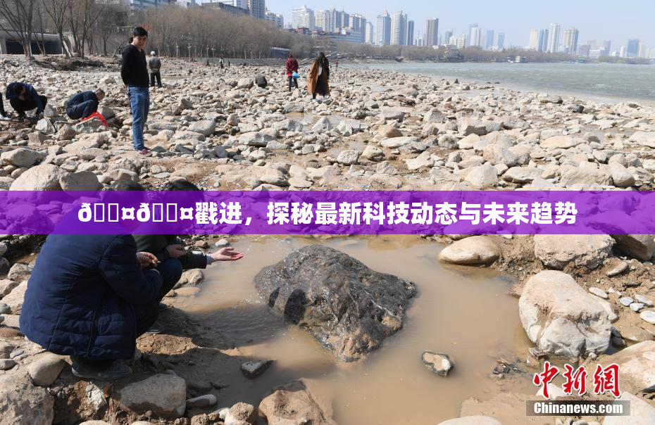 🐤🐤戳进，探秘最新科技动态与未来趋势