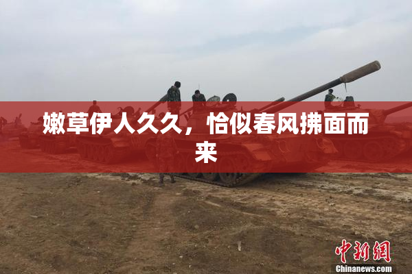 嫩草伊人久久，恰似春风拂面而来