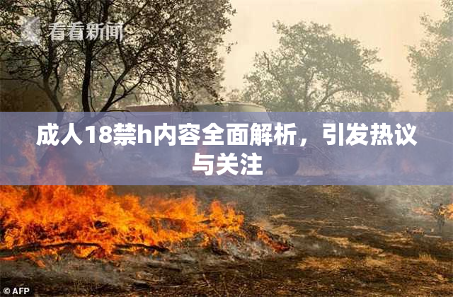 成人18禁h内容全面解析，引发热议与关注
