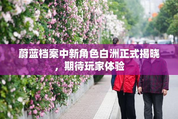 蔚蓝档案中新角色白洲正式揭晓，期待玩家体验