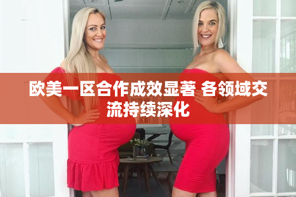 欧美一区合作成效显著 各领域交流持续深化