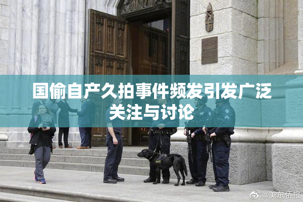 国偷自产久拍事件频发引发广泛关注与讨论