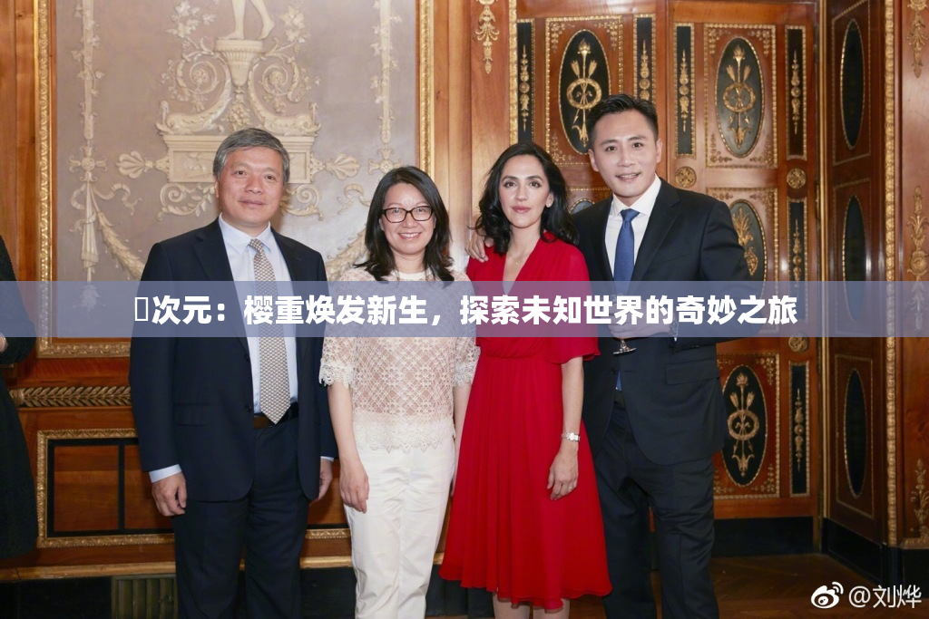 囧次元：樱重焕发新生，探索未知世界的奇妙之旅