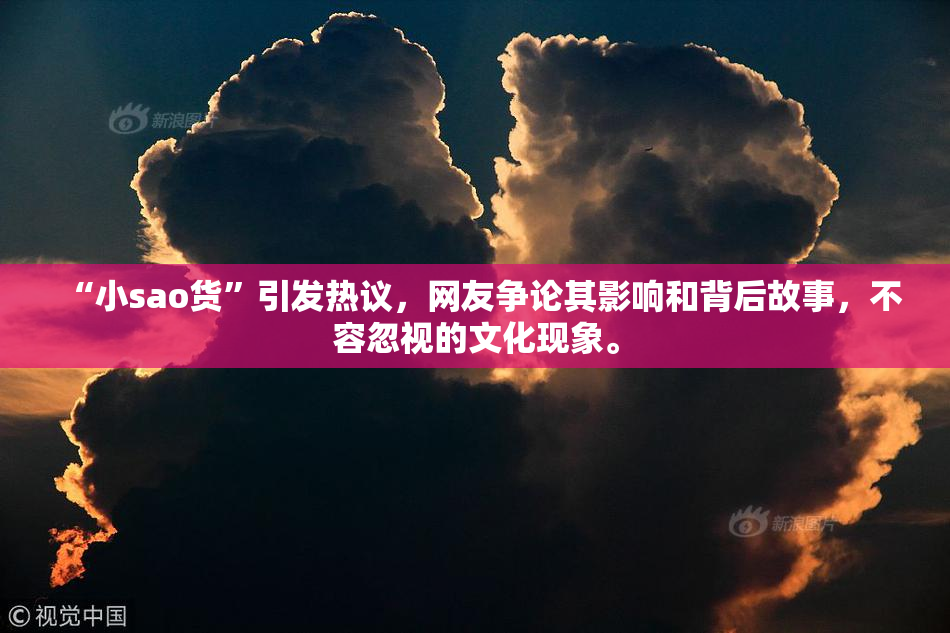 “小sao货”引发热议，网友争论其影响和背后故事，不容忽视的文化现象。