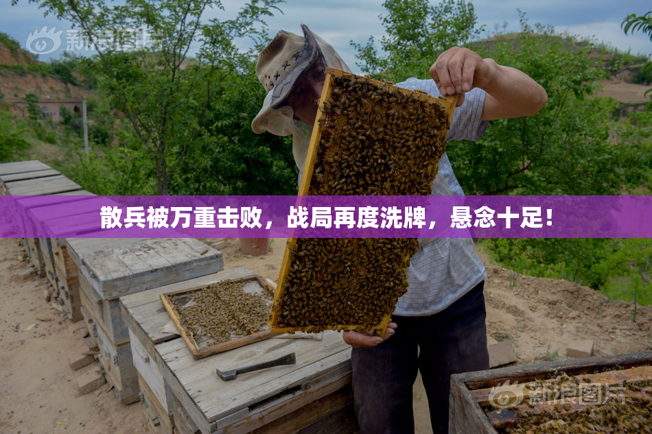 散兵被万重击败，战局再度洗牌，悬念十足！