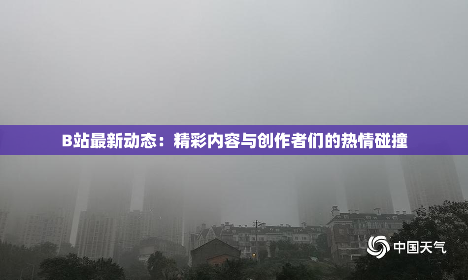 B站最新动态：精彩内容与创作者们的热情碰撞