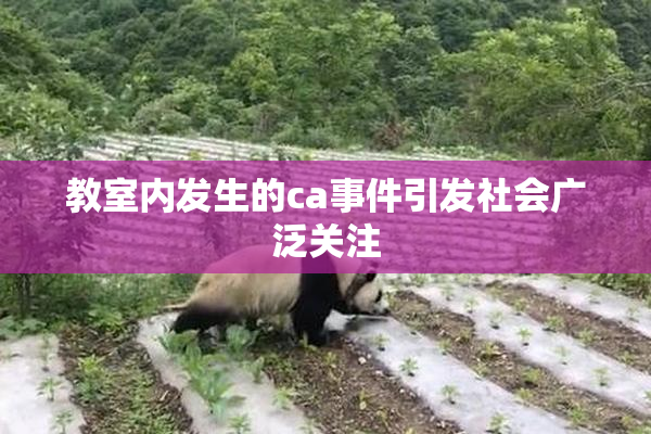 教室内发生的ca事件引发社会广泛关注