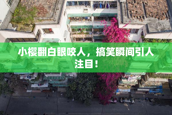 小樱翻白眼咬人，搞笑瞬间引人注目！