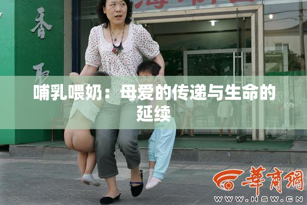 哺乳喂奶：母爱的传递与生命的延续