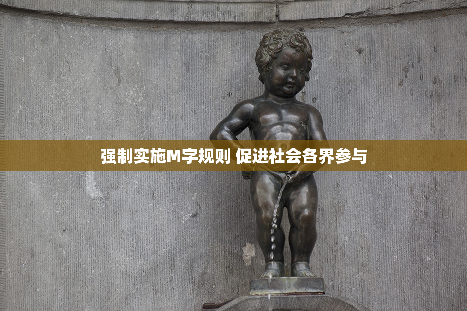 强制实施M字规则 促进社会各界参与
