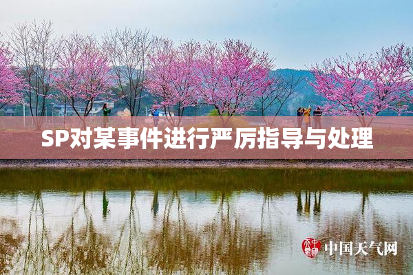 SP对某事件进行严厉指导与处理