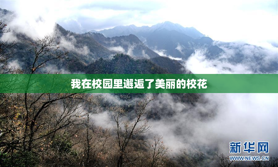 我在校园里邂逅了美丽的校花