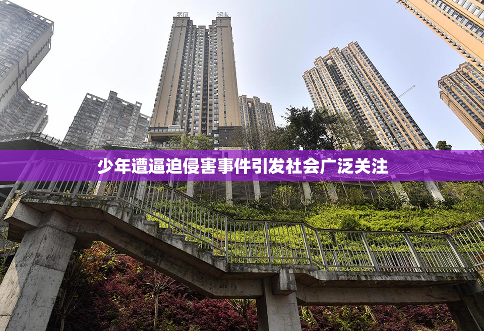 少年遭逼迫侵害事件引发社会广泛关注
