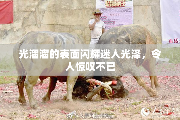 光溜溜的表面闪耀迷人光泽，令人惊叹不已